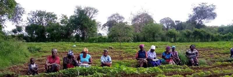 Kings Agricultural Services banner