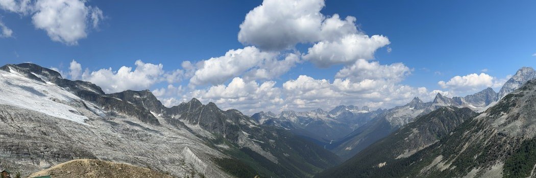 Tyler Shandro banner