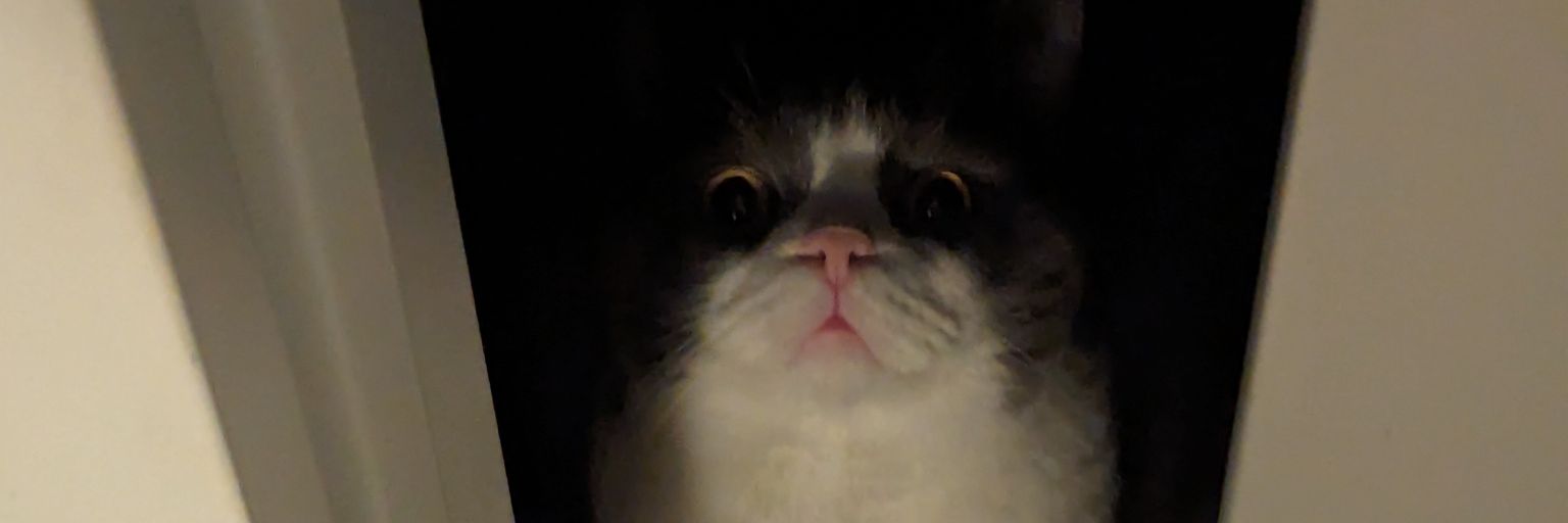 IntricateMayhem's profile banner image
