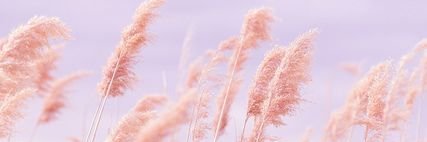 VictoriaMay_G's profile banner image