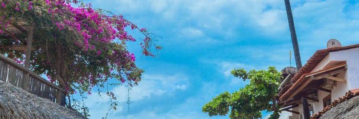 oievicky's profile banner image