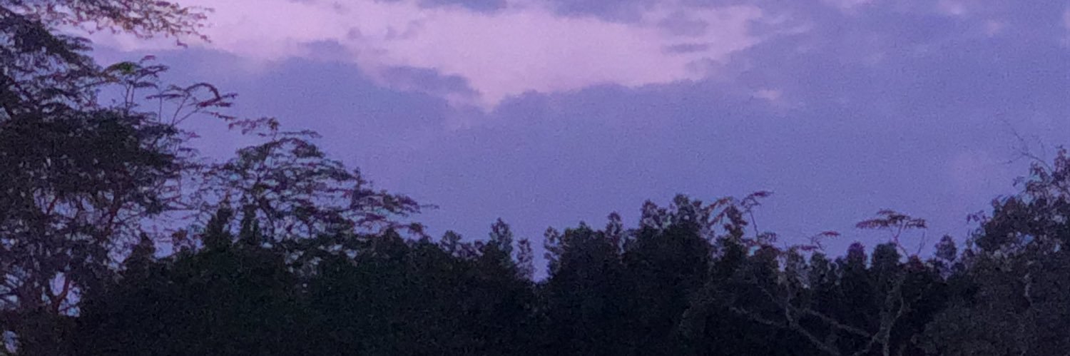 Fl1Gz's profile banner image