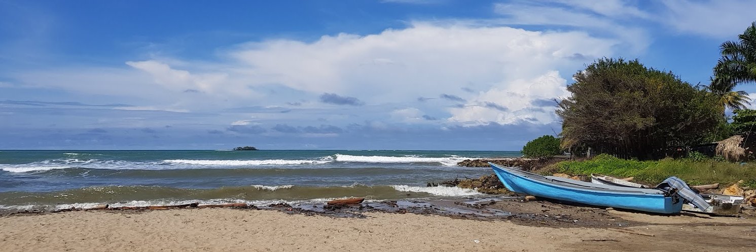 nelsonx21's profile banner image