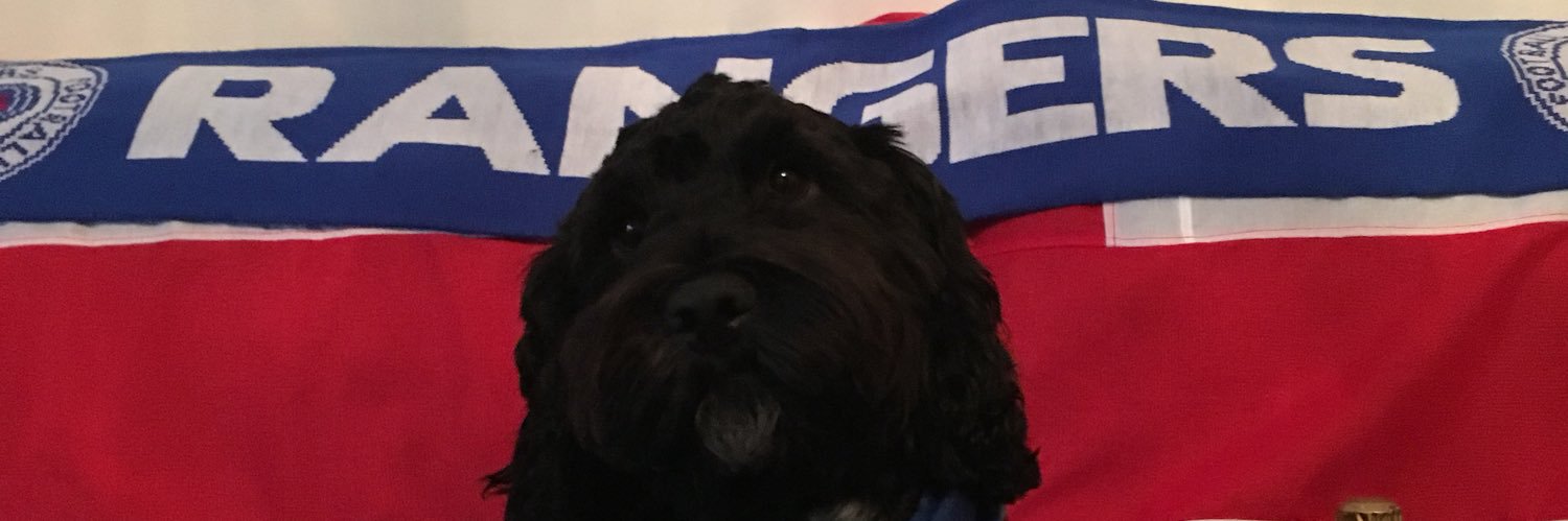 ibroxpark1's profile banner image
