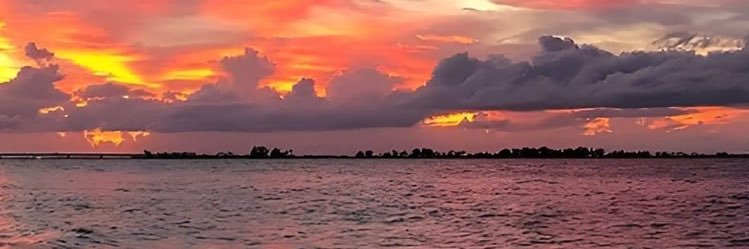 Preciosa Amor banner