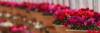ali05613's profile banner image