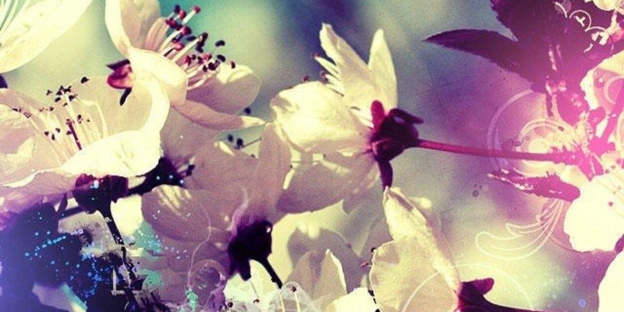 1nella's profile banner image