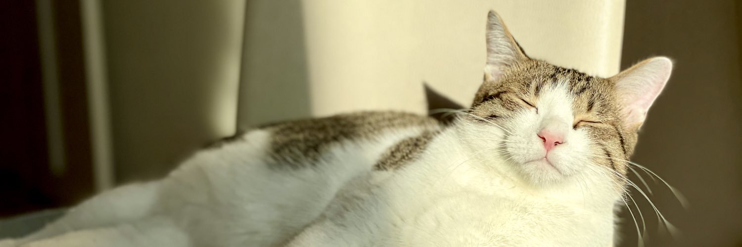 noid69's profile banner image