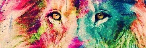 Christopher C banner
