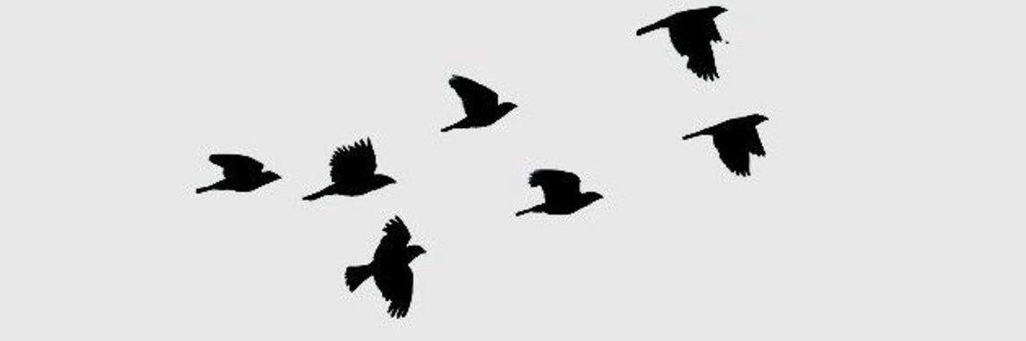 stocks_option8's profile banner image