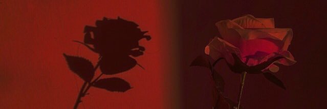 camigaleanof's profile banner image