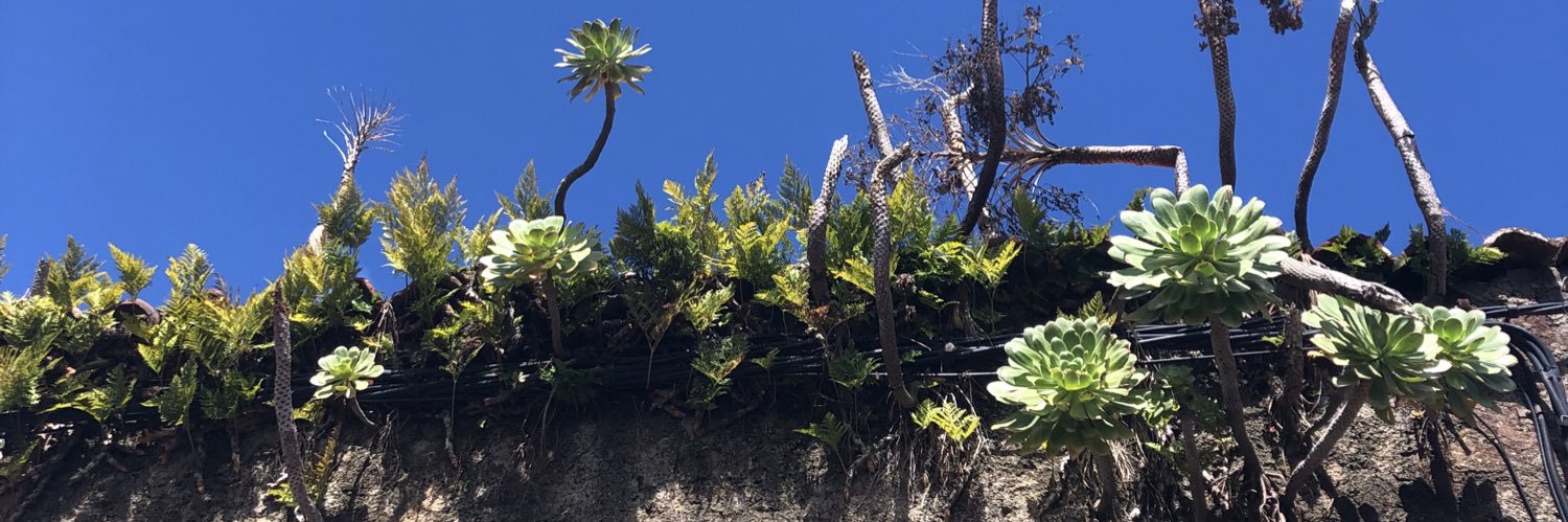 Philipp Schönberger (he/him) banner