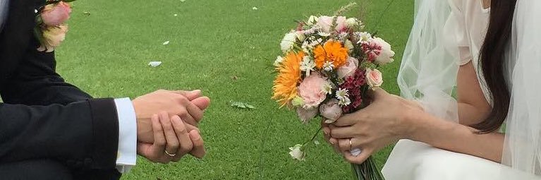 (◠ᴥ◕ʋ) banner