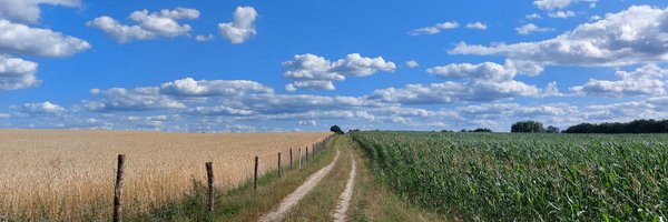 ChFlachsland Profile Banner