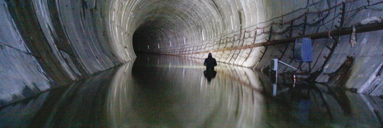 David Alonso Medina banner