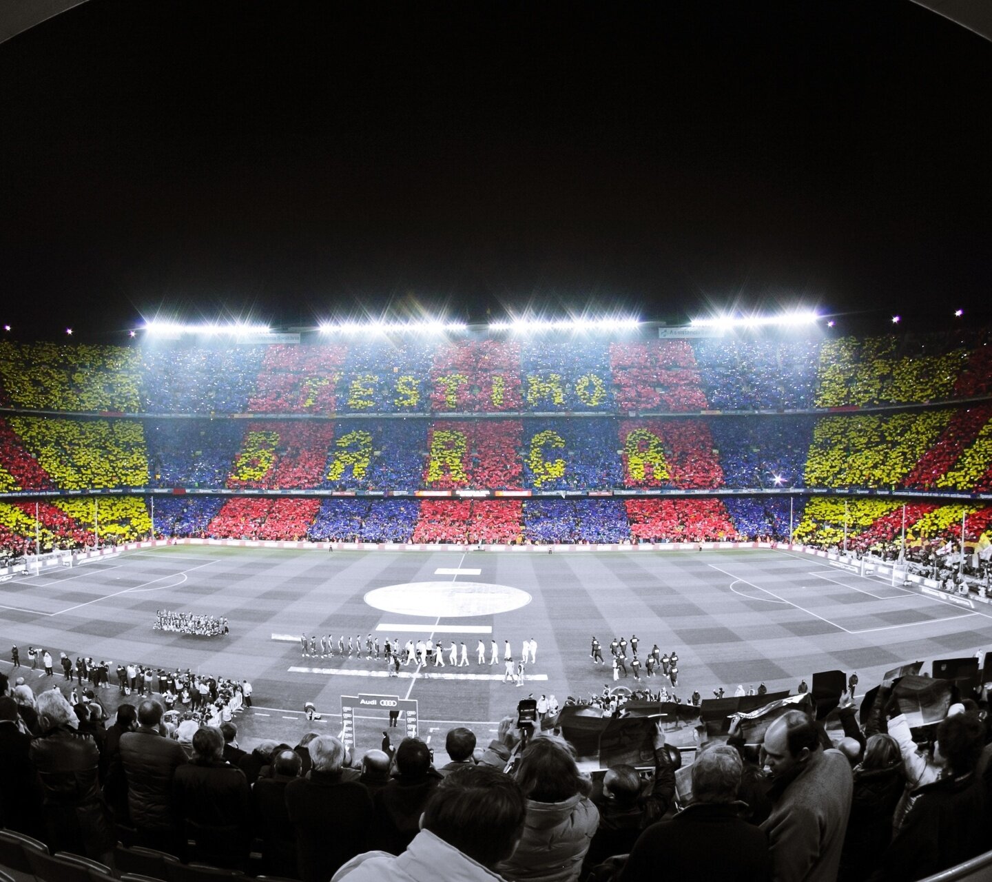 CarlosRojasVB's profile banner image
