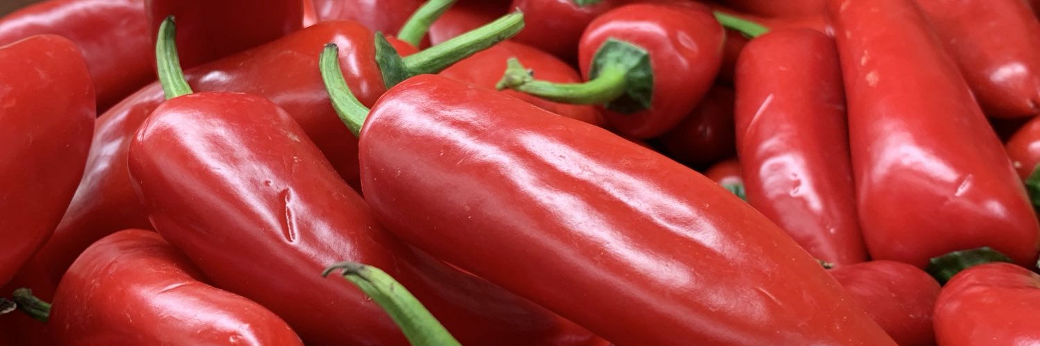 BitterFoodie's profile banner image