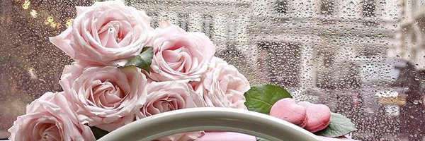 Penélope 🌺May birthday month 🌺 Profile Banner
