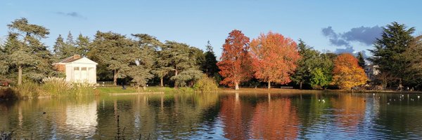 CharlesSillett Profile Banner