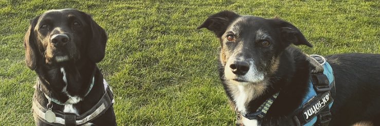 pete_jacko87's profile banner image