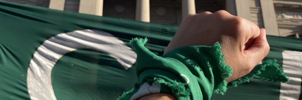 RDecidir Profile Banner