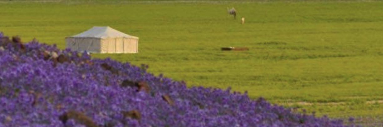 خالد التيسي banner