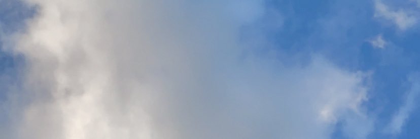 sannpetit's profile banner image