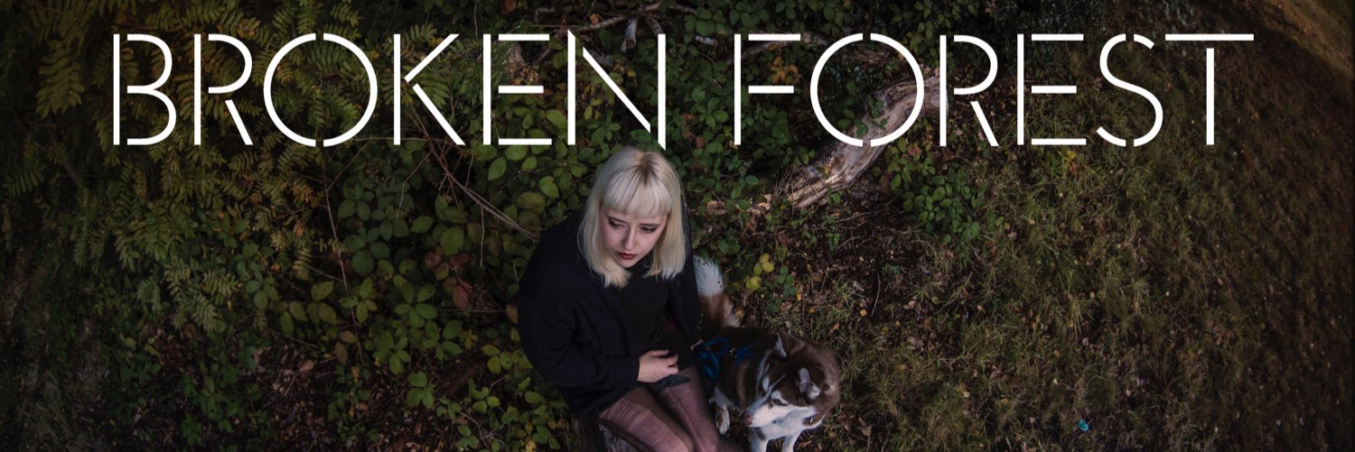 BrokenForest's profile banner image