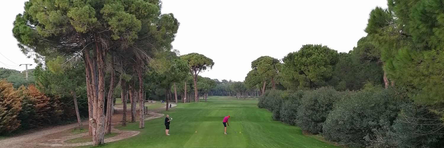 Muttley Golf Pro banner