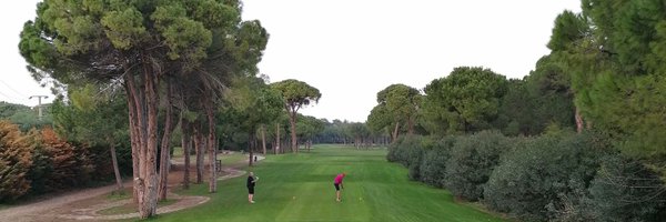 bazmutt Profile Banner