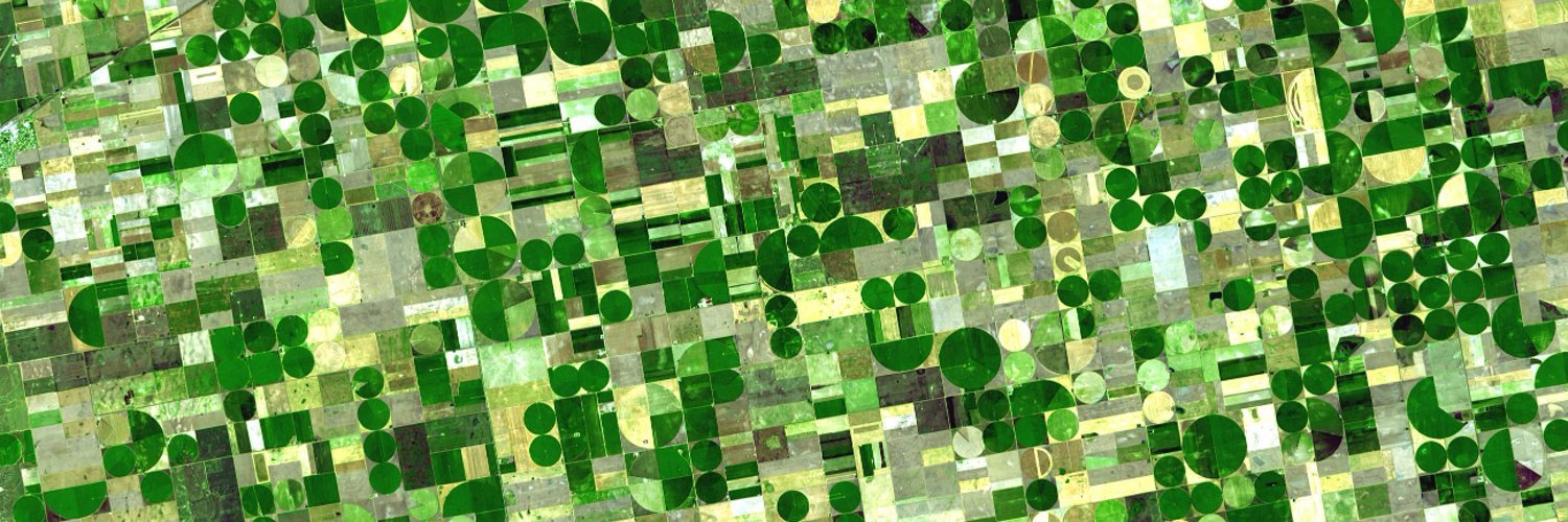 Markus Neuschäfer banner