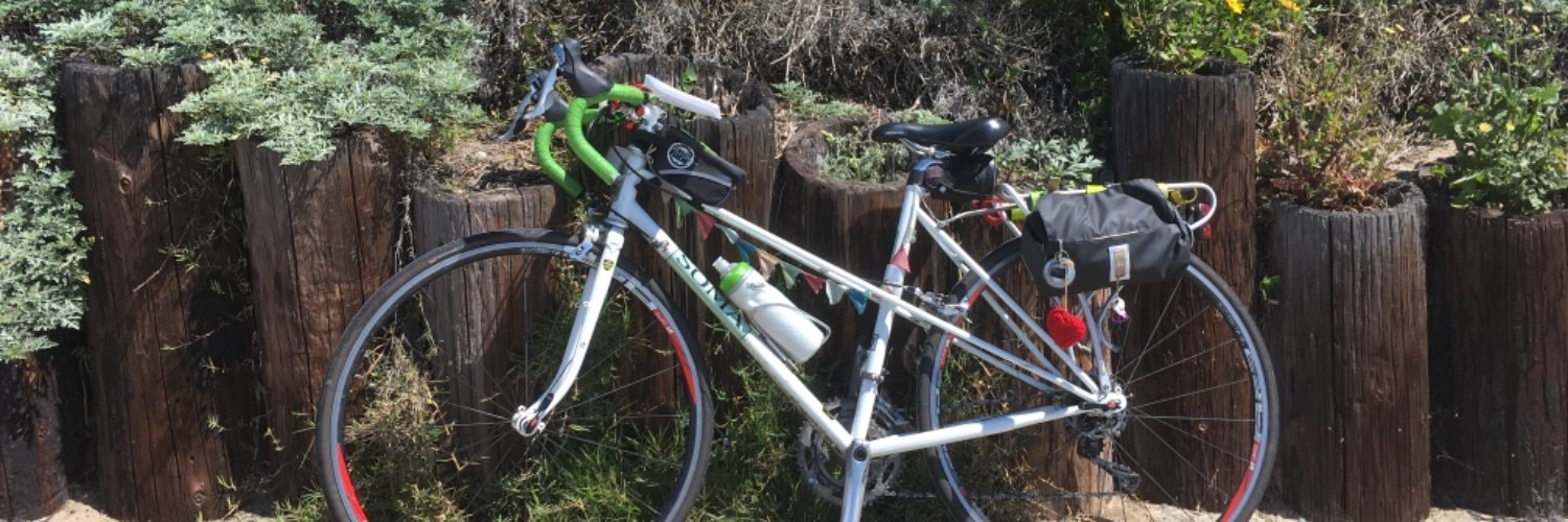 joni banner