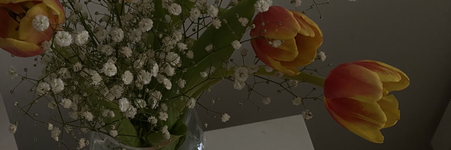 PaoRamrez16's profile banner image