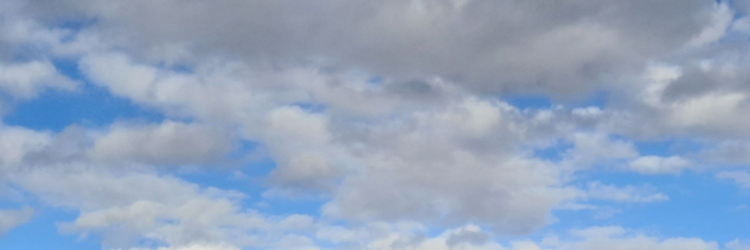 Ana Gabrielli 🌱🌈💪❤ banner
