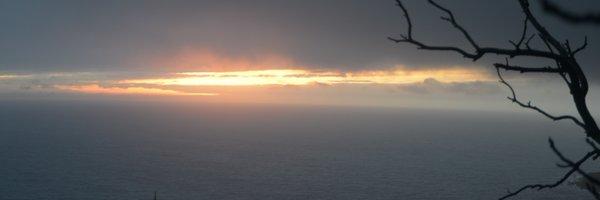 mynim Profile Banner