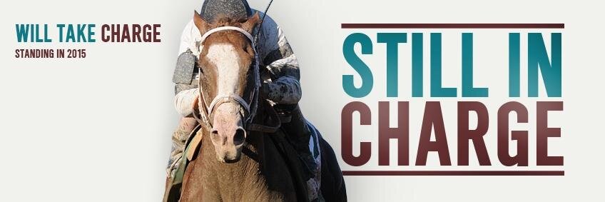 WillTakeCharge's profile banner image