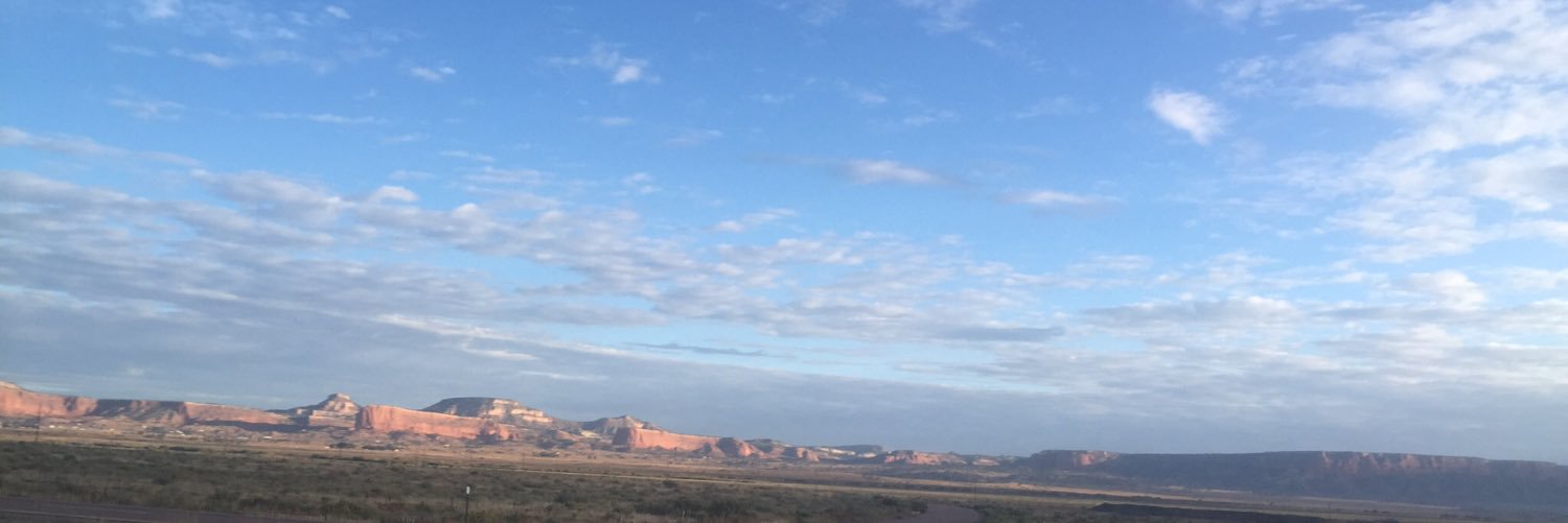 RollenHerrera's profile banner image