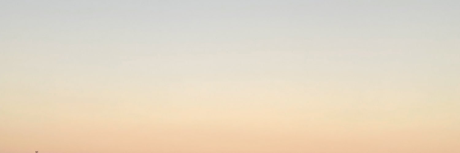 l i l o🎄 banner