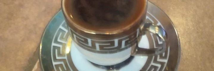 The Dhimmi Who Knew Too Much 🐫👑🌹✨☕ banner