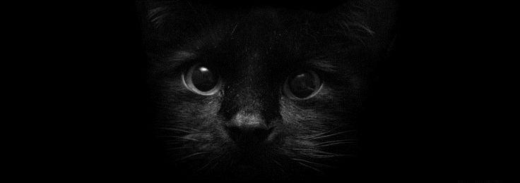 DarkIrie's profile banner image