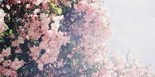 _DaiDream's profile banner image