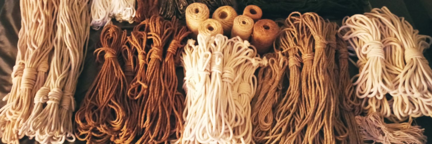 Rigging.Mario banner