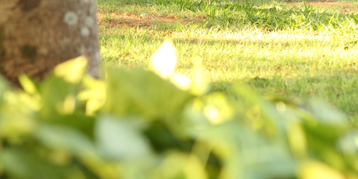 LeeoDelbo's profile banner image