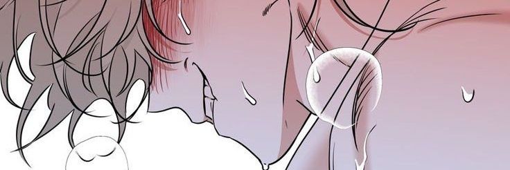 ‡ banner