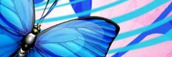 SilTe43's profile banner image