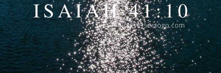 🔥Phoenix“The Flame”🔥 banner