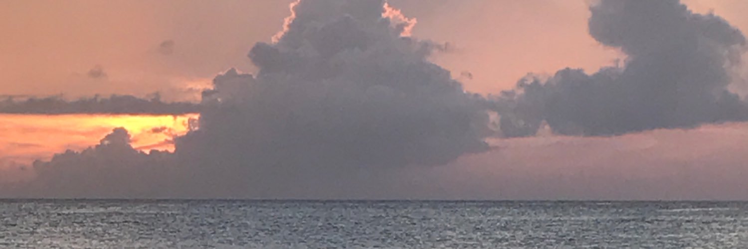 IJBI's profile banner image
