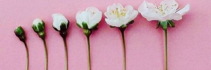 AngelesCarabal2's profile banner image