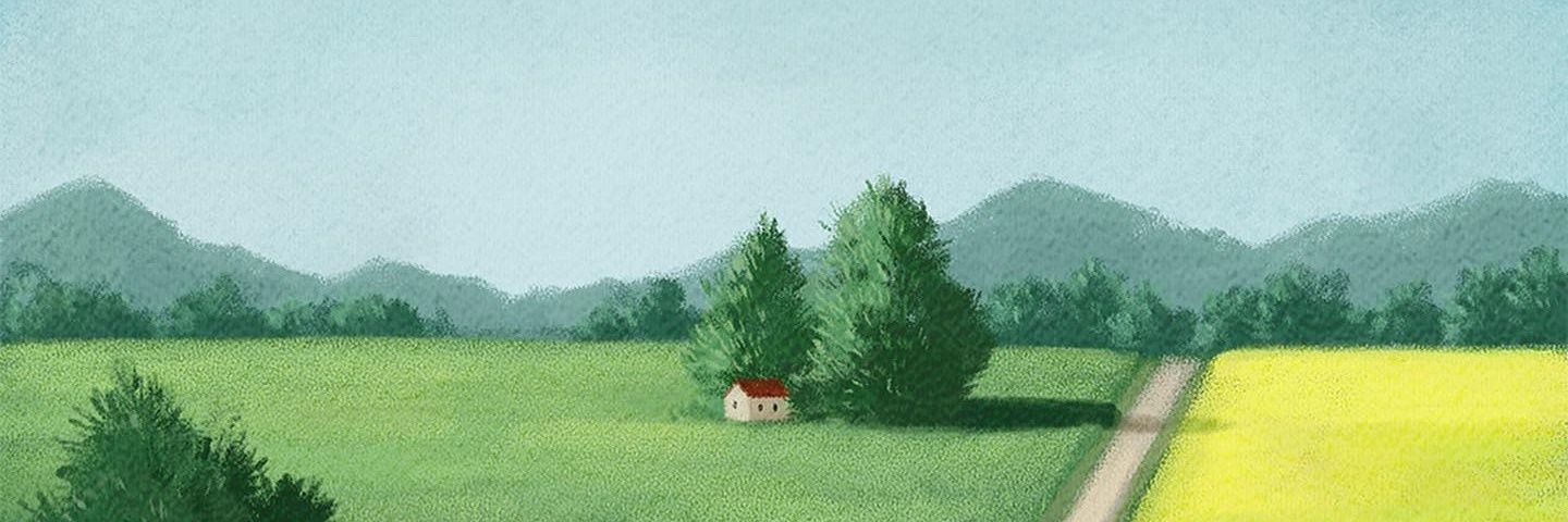 CorianderSeeder's profile banner image