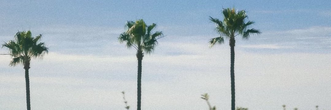 SyddneyFarm's profile banner image